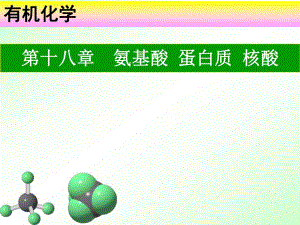 第18章氨基酸蛋白质核酸修改.ppt