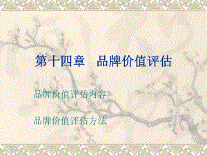 第14章品牌价值评估.ppt