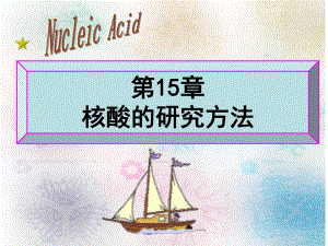 第15章核酸的研究方法精品PPT课件名师编辑PPT课件.ppt