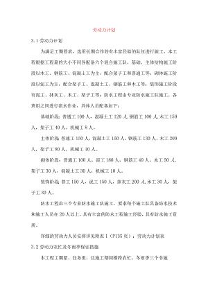 劳动力计划.docx