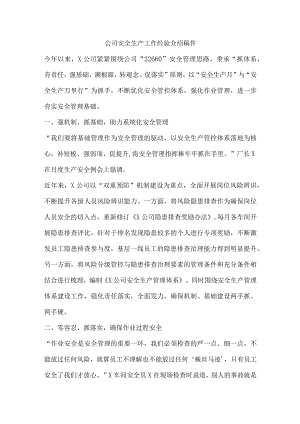 公司安全生产工作经验介绍稿件.docx