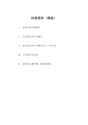 自查报告模板.docx