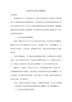 诉讼可行性分析报告.docx