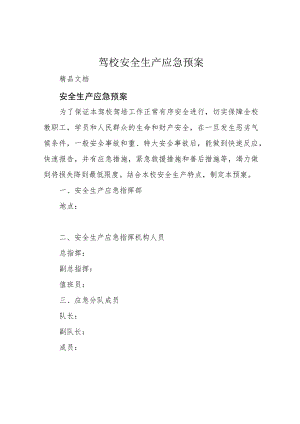 驾校安全生产应急预案.docx