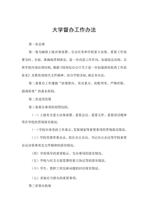 大学督办工作办法.docx