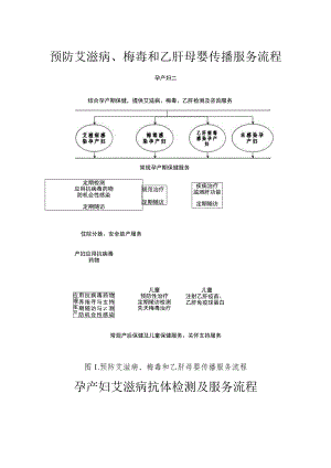 预防艾滋病、梅毒和乙肝母婴传播服务流程.docx