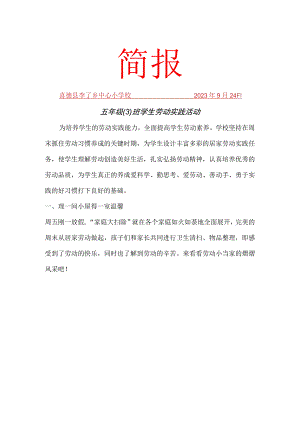 5.3劳动实践活动简报.docx