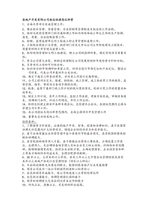 房地产开发有限公司副总经理岗位职责.docx