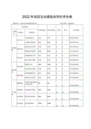 2022年项目支出绩效自评价评分表.docx