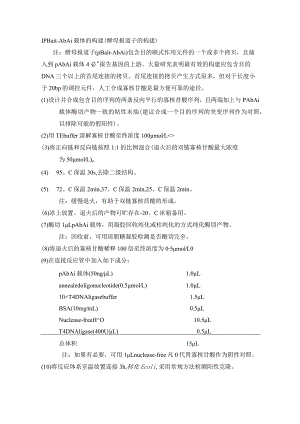 酵母单杂交-实验步骤总结.docx
