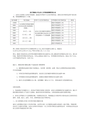 医疗器械公司业务人员等级薪酬管理办法.docx