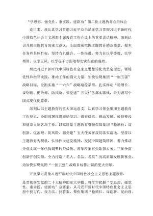 国企单位纪委书记学思想、强党性、重实践、建新功第二批主题教育心得体会 汇编5份.docx