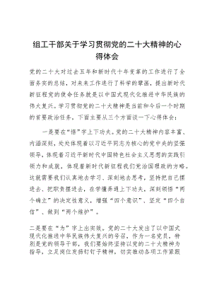 组工干部关于学习贯彻党的XX大精神的心得体会.docx