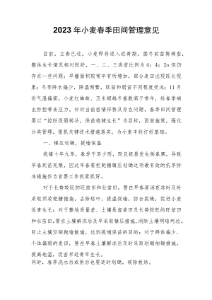 2023年小麦春季田间管理意见.docx