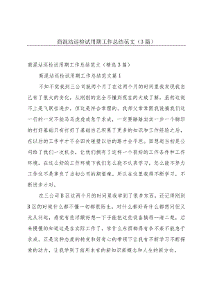 商混站巡检试用期工作总结范文（3篇）.docx