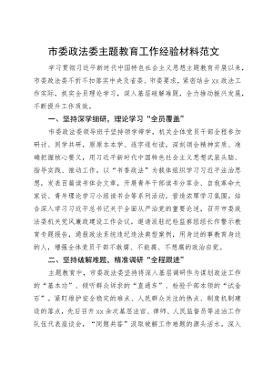 市政法部门主题教育工作经验材料委总结汇报报告.docx