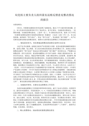 局党组主要负责人组织落实巡察反馈意见整改情况的报告.docx