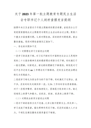 关于2023年第一批主题教育专题民主生活会专职书记个人剖析查摆发言提纲.docx