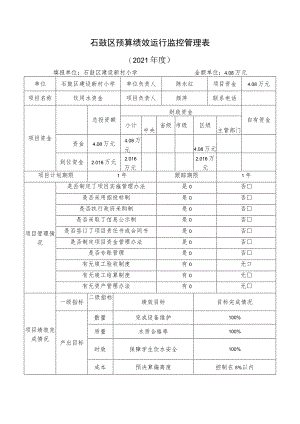 石鼓区预算绩效运行监控管理表.docx