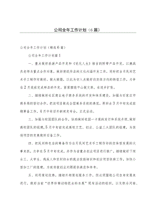公司全年工作计划（6篇）.docx