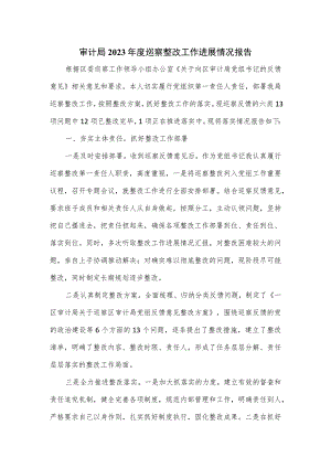 审计局2023年度巡察整改工作进展情况报告.docx