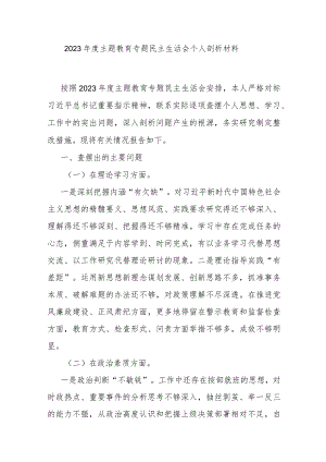2023年度主题教育专题民主生活会个人剖析材料.docx
