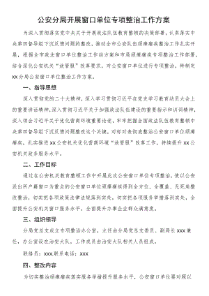 公安分局开展窗口单位专项整治工作方案.docx