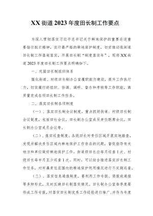 XX街道2023年度田长制工作要点.docx