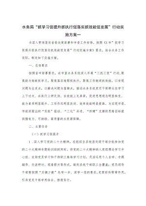 水务局“抓学习促提升抓执行促落实抓效能促发展”行动实施方案.docx