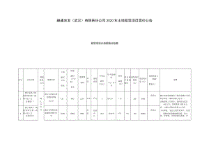 融通农发武汉有限责任公司2020年土地租赁项目竞价公告租赁项目计划招租分包表.docx