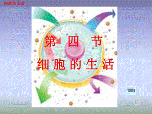 细胞的生活1精品教育.ppt
