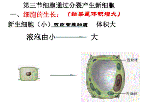 细胞通过分裂产生新细胞.ppt精品教育.ppt