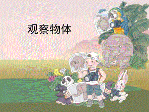 观察物体成素珍精品教育.ppt
