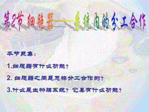 细胞器——系统的分工精品教育.ppt