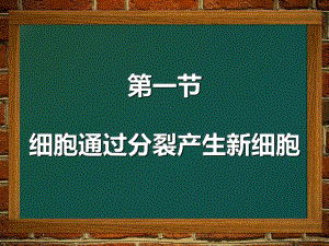 细胞通过分裂产生新细胞精品教育.ppt