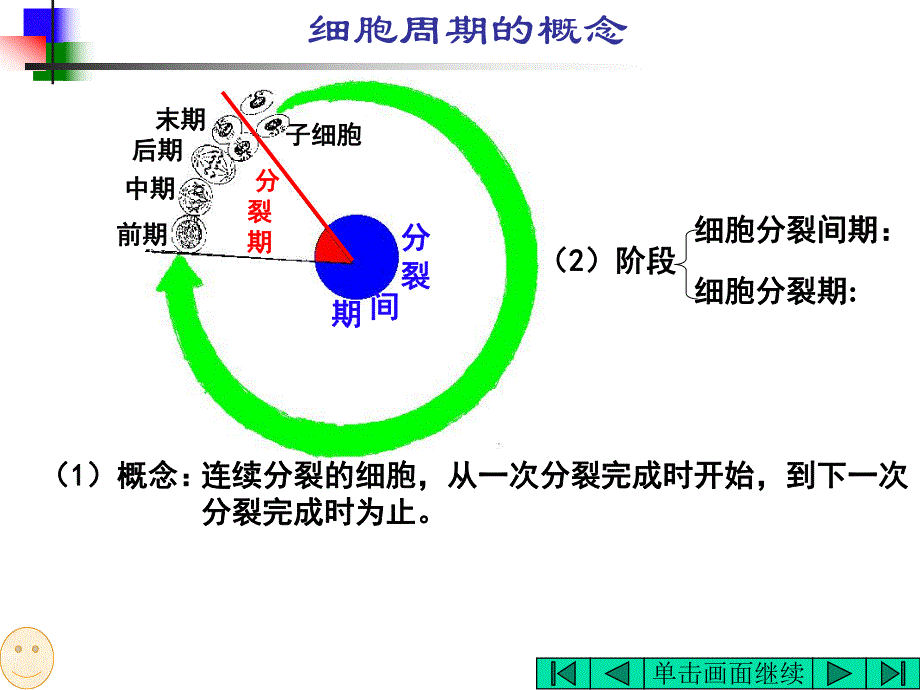 细胞的增殖ppt精品教育.ppt_第3页