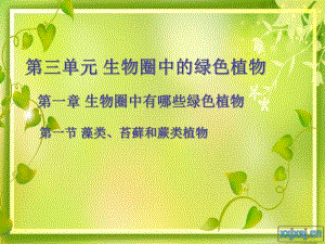 藻类、苔藓和蕨类植物 精品教育.ppt
