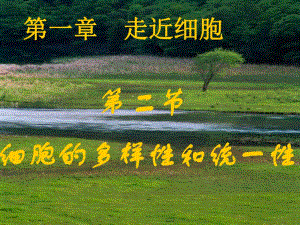 细胞的多样性和统一性001精品教育.ppt