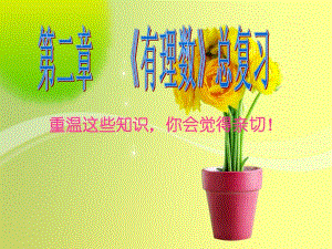 有理数总复习(实用)精品教育.ppt