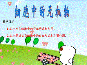 细胞中的无机物ppt精品教育.ppt