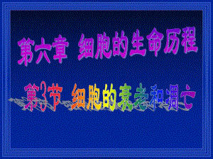 细胞的衰老和凋亡精品教育.ppt