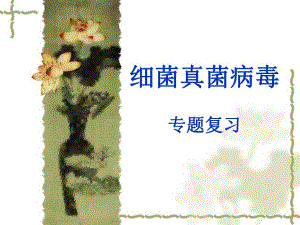 细菌真菌病毒专题复精品教育.ppt