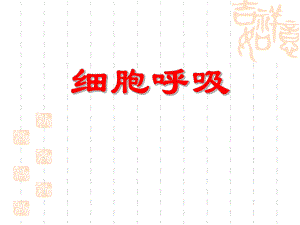 细胞呼吸教学课件精品教育.ppt