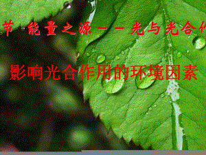 影响光合作用因素公开课.ppt