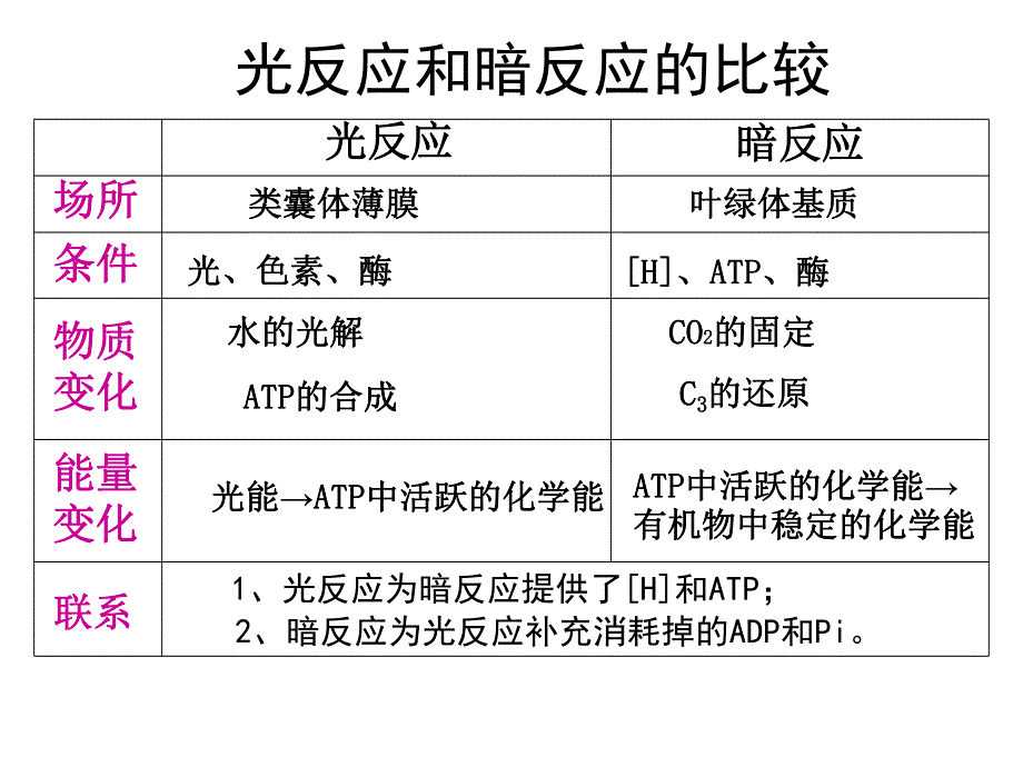 影响光合作用因素公开课.ppt_第3页