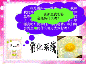 消化和吸收上课精品教育.ppt