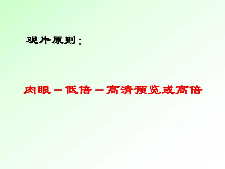 消化呼吸实验精品教育.ppt_第3页