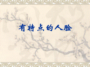 有特点的人脸精品教育.ppt
