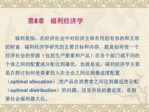 微观经济学 福利经济学.ppt