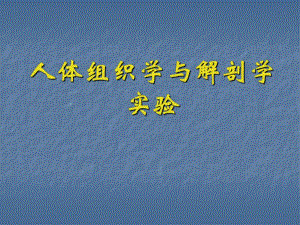 消化系统组成及各部分结构观察精品教育.ppt